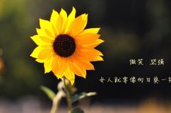 开云体育平台APP-双重奏，红牛的野蛮与梅赛德斯的困局