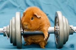 开云体育在线-浙江库里降临布鲁克林，一场跨越大洋的篮球传奇