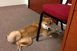 开云体育官网-封神之夜，梅西如何以一人之力撕裂钢铁森林