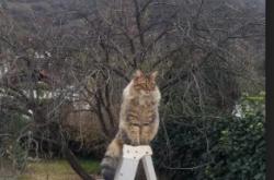 开云体育APP下载-洲际碰撞夜，佩德里，那颗划破利雅得上空的超新星