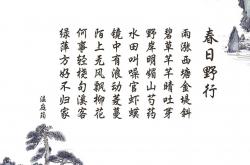 开云体育在线-音符与代码的对决，当约基奇用他的节拍器破解北京队的精密齿轮