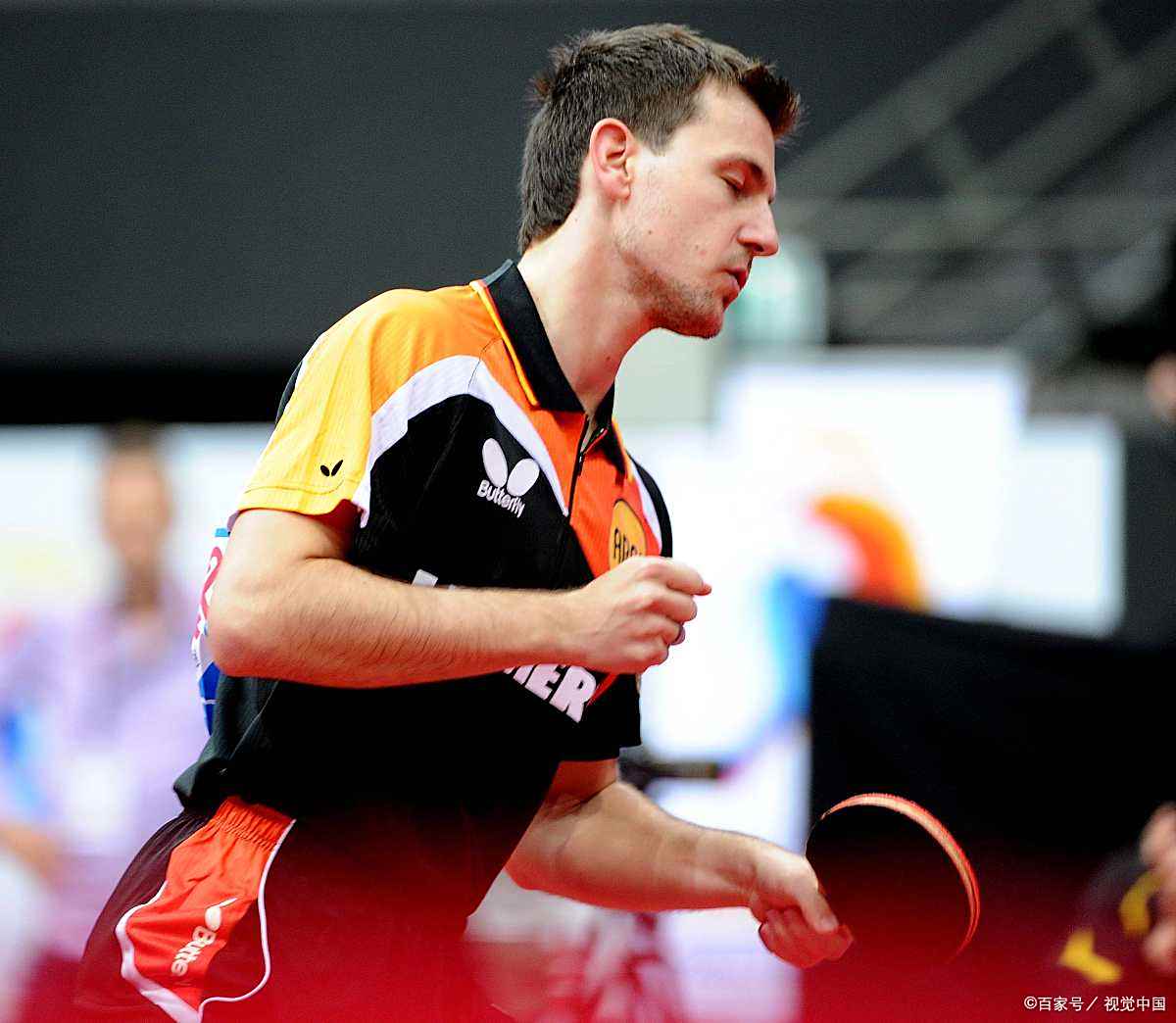 比利时乒乓球队爆冷日本乒乓球队,波尔制霸全场 比利时乒乓球队爆冷日本乒乓球队,波尔制霸全场