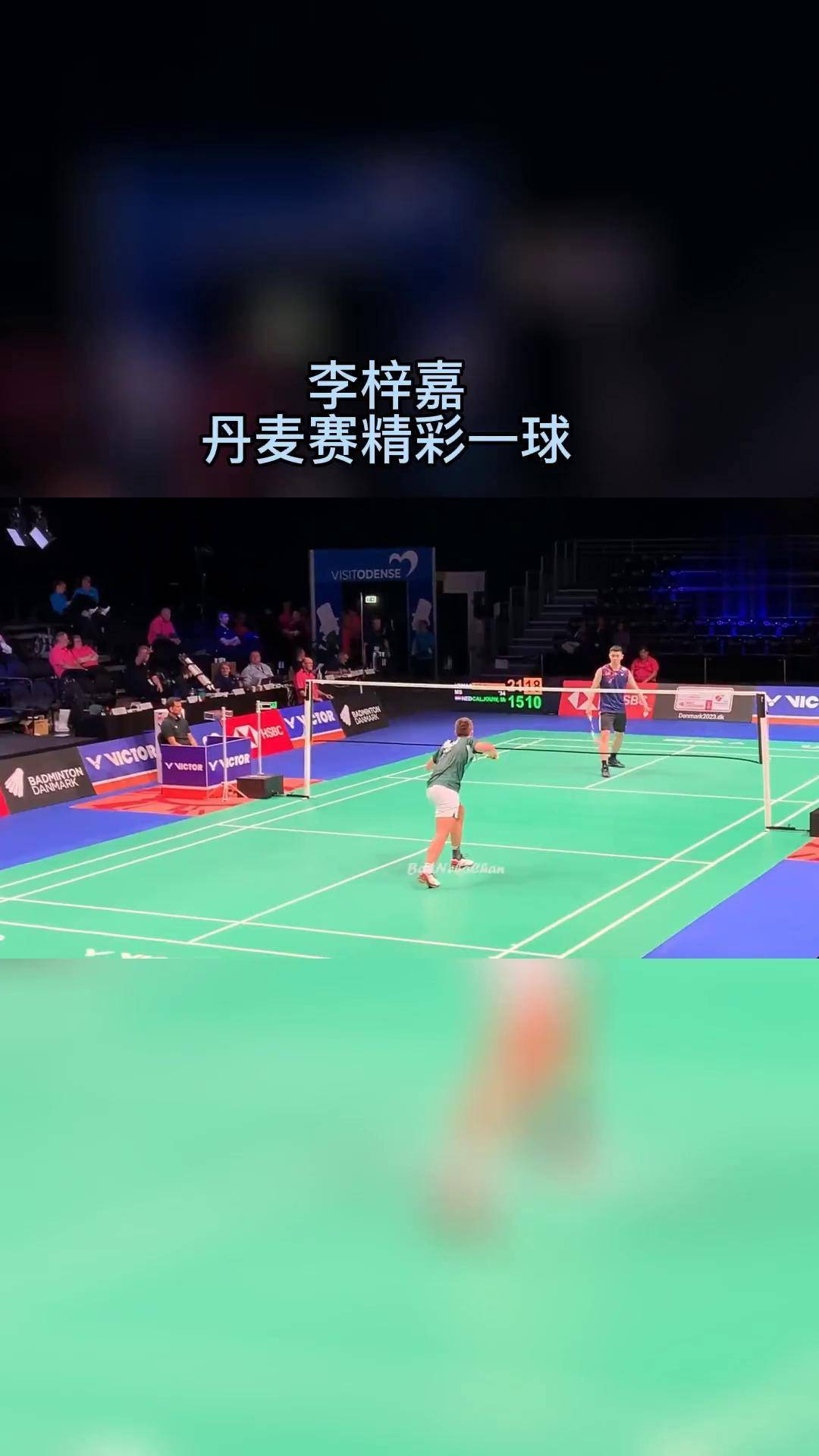 丹麦队翻盘德国队，李梓嘉高光表现