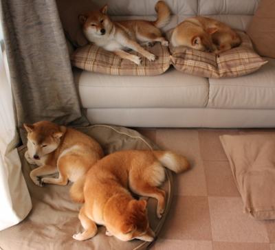 联合杯绝杀法网预演？阿尔卡拉斯用状态火热点燃新赛季