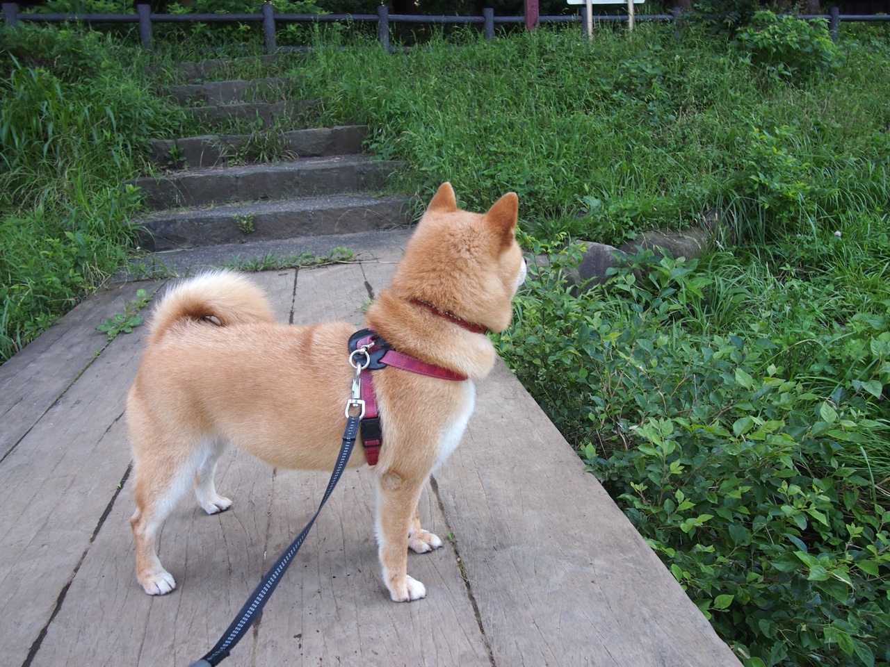 黄色潜水艇撞上黑色礁石—卡瓦哈尔锁死比利亚雷亚尔，成为皇马晋级之匙