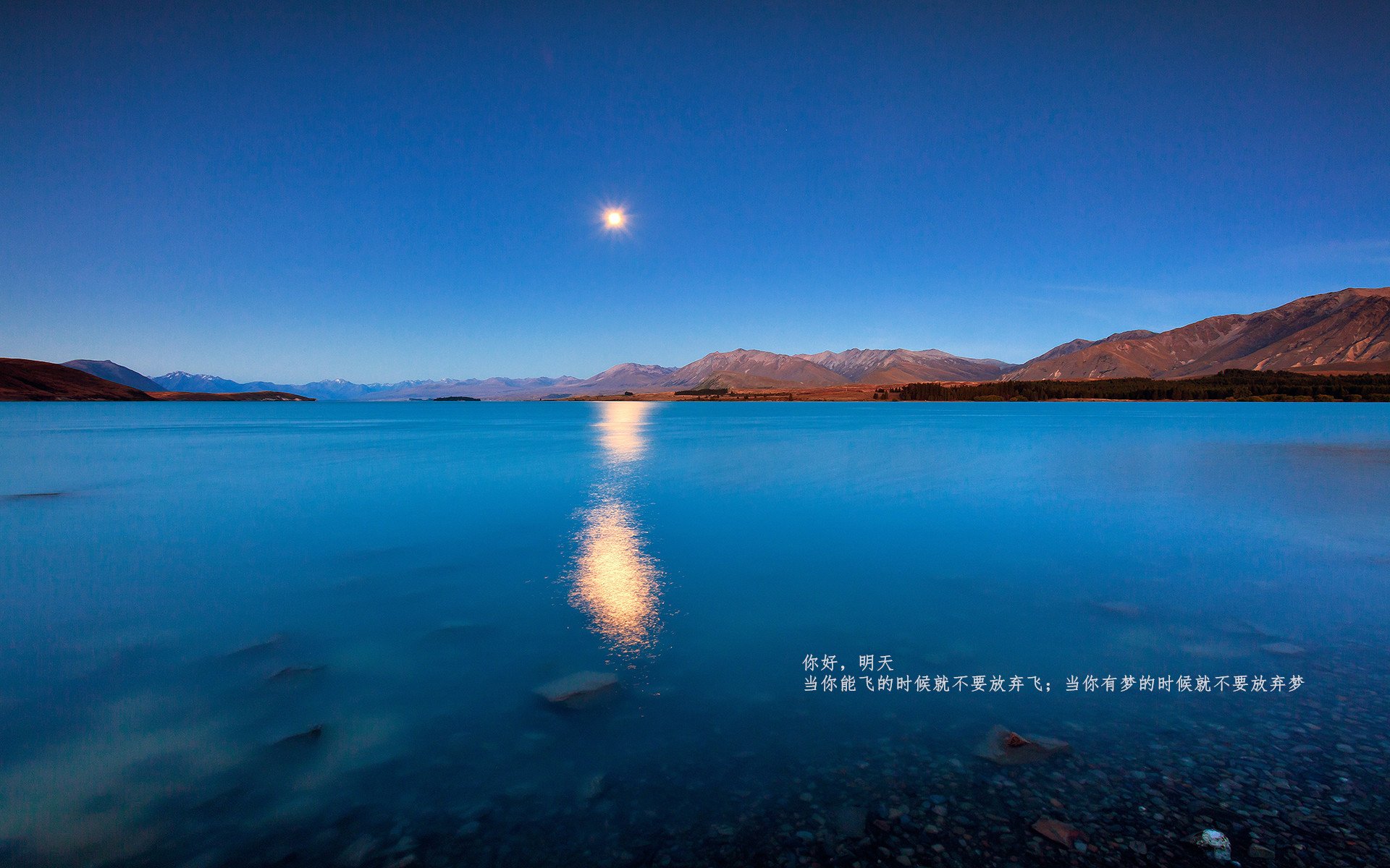 客场变主场,字母哥斩获关键先生,凯尔特人踏平掘金