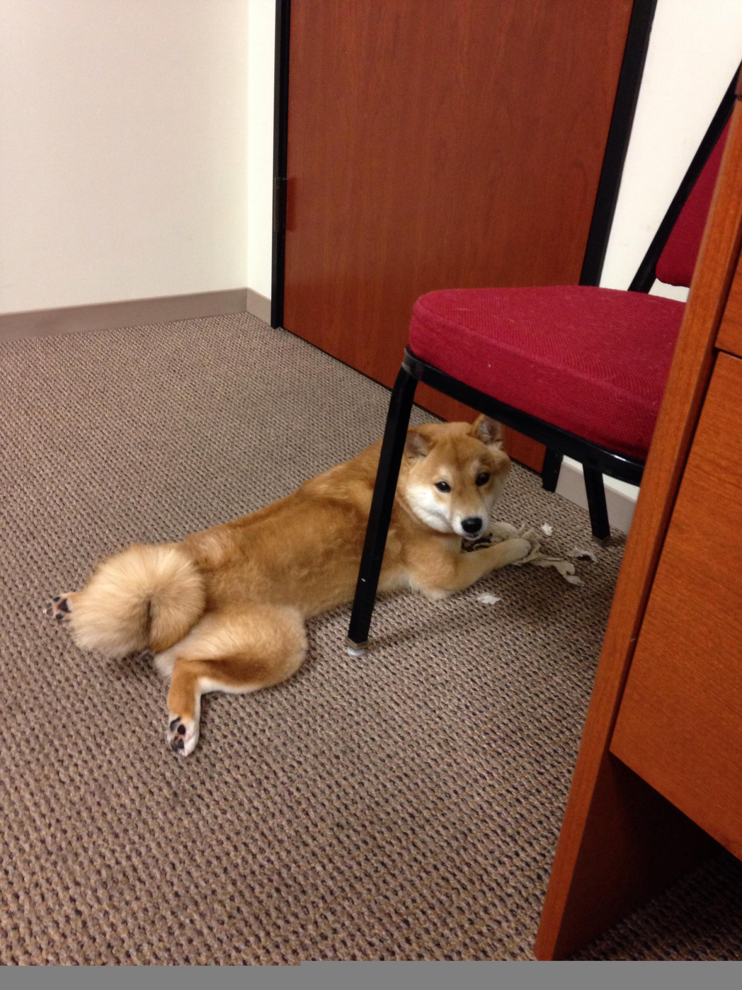 冰点与沸点，当火箭掀翻新疆，西亚卡姆在世界杯完成寒冰接管