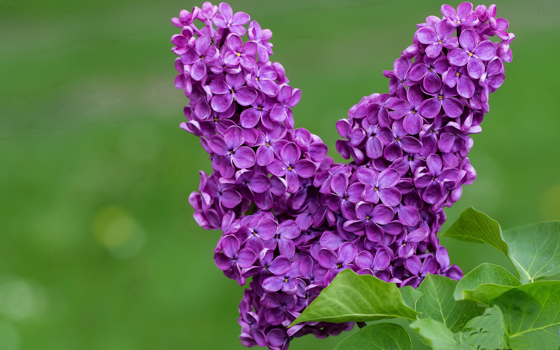 突尼斯生死战取胜英格兰，世界排名争夺战的焦点逆转