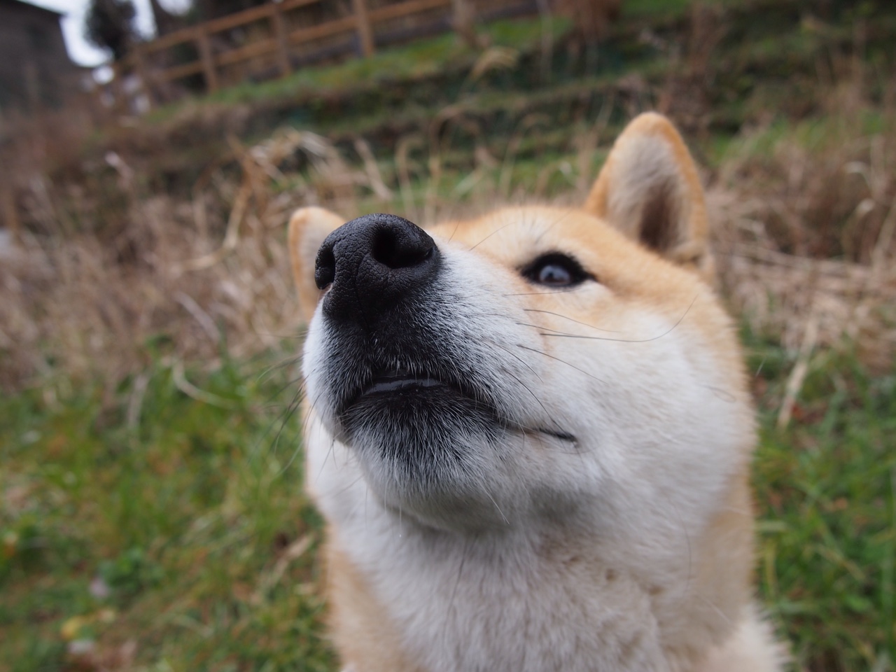 独步江湖,利刃出鞘—爱德华兹持续制造杀伤,公牛风卷残云速胜深圳队