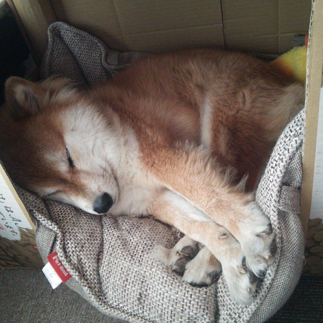 友谊赛中的大师课,挪威对阵洪都拉斯,阿尔瓦雷斯用一脚触球导演胜利