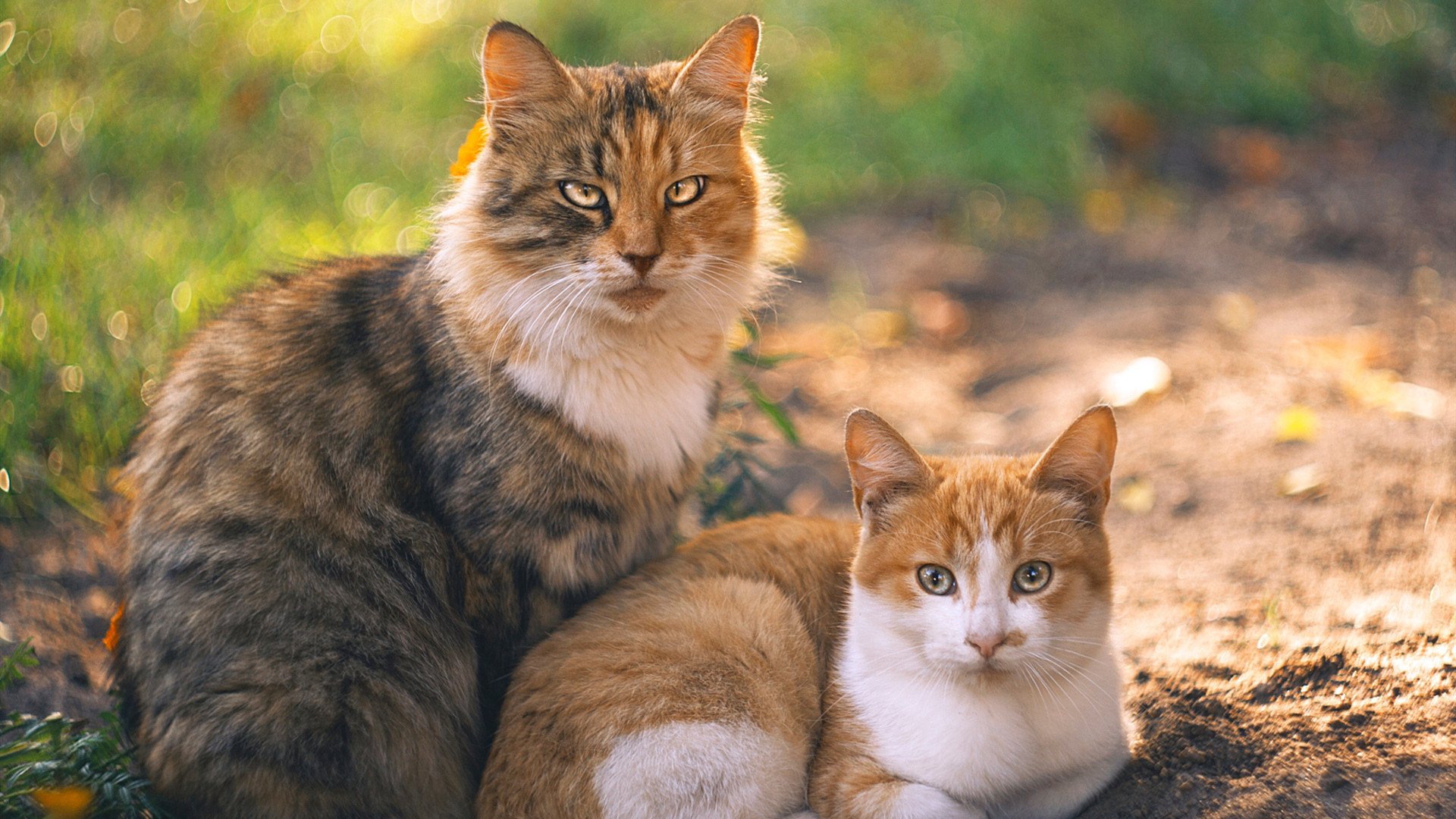 掘金再胜，却是杜兰特式困境的又一次写照