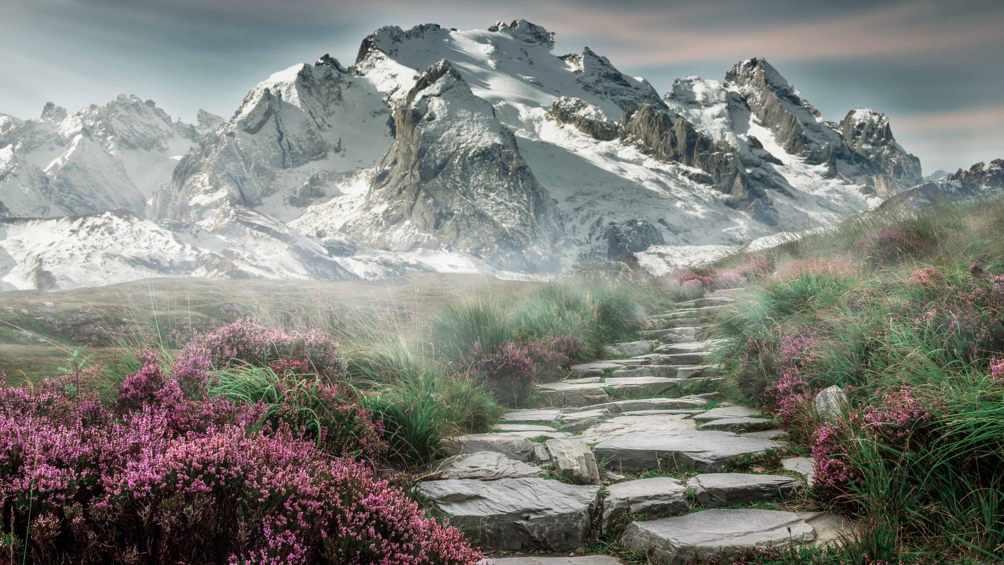 荷兰新王登基！加克波梅开二度弑杀德国战车，郁金香于废墟中绽放