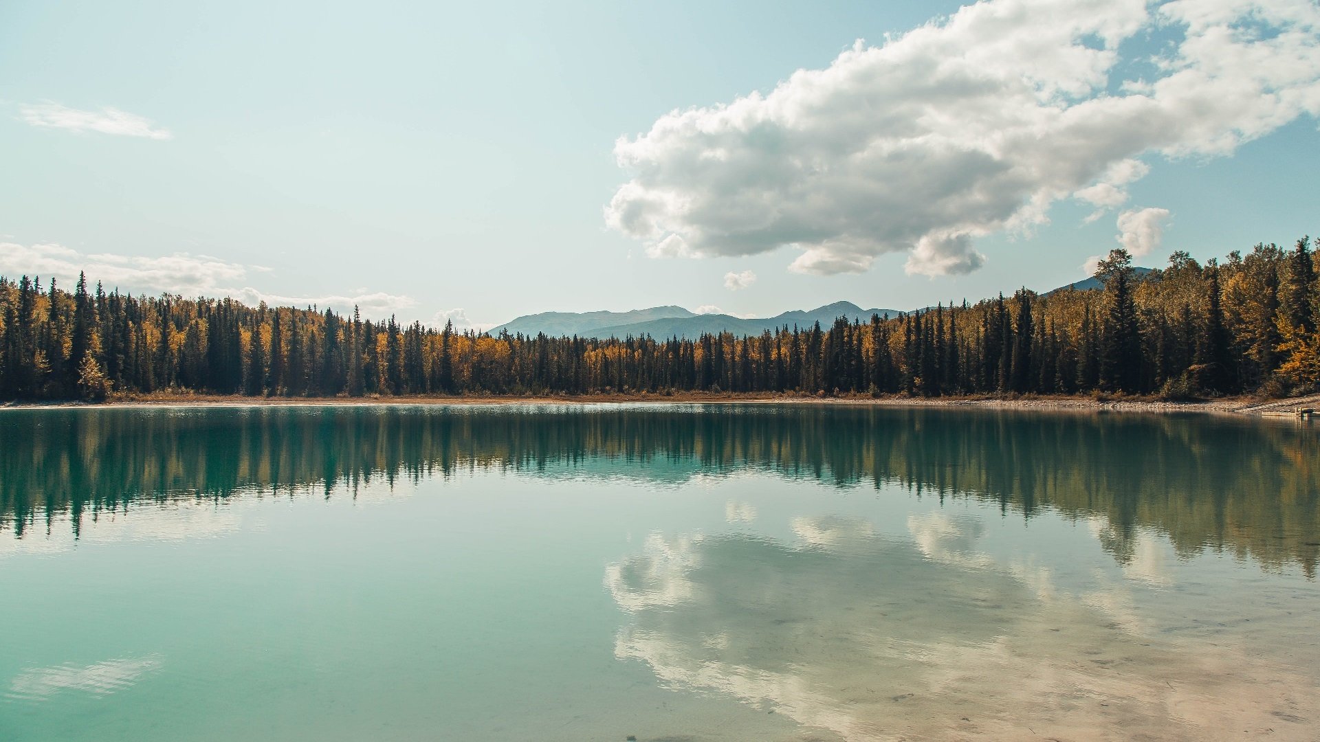 点杀，鏖战，噬魂散魄！格列兹曼一手掌控马竞生死战命脉