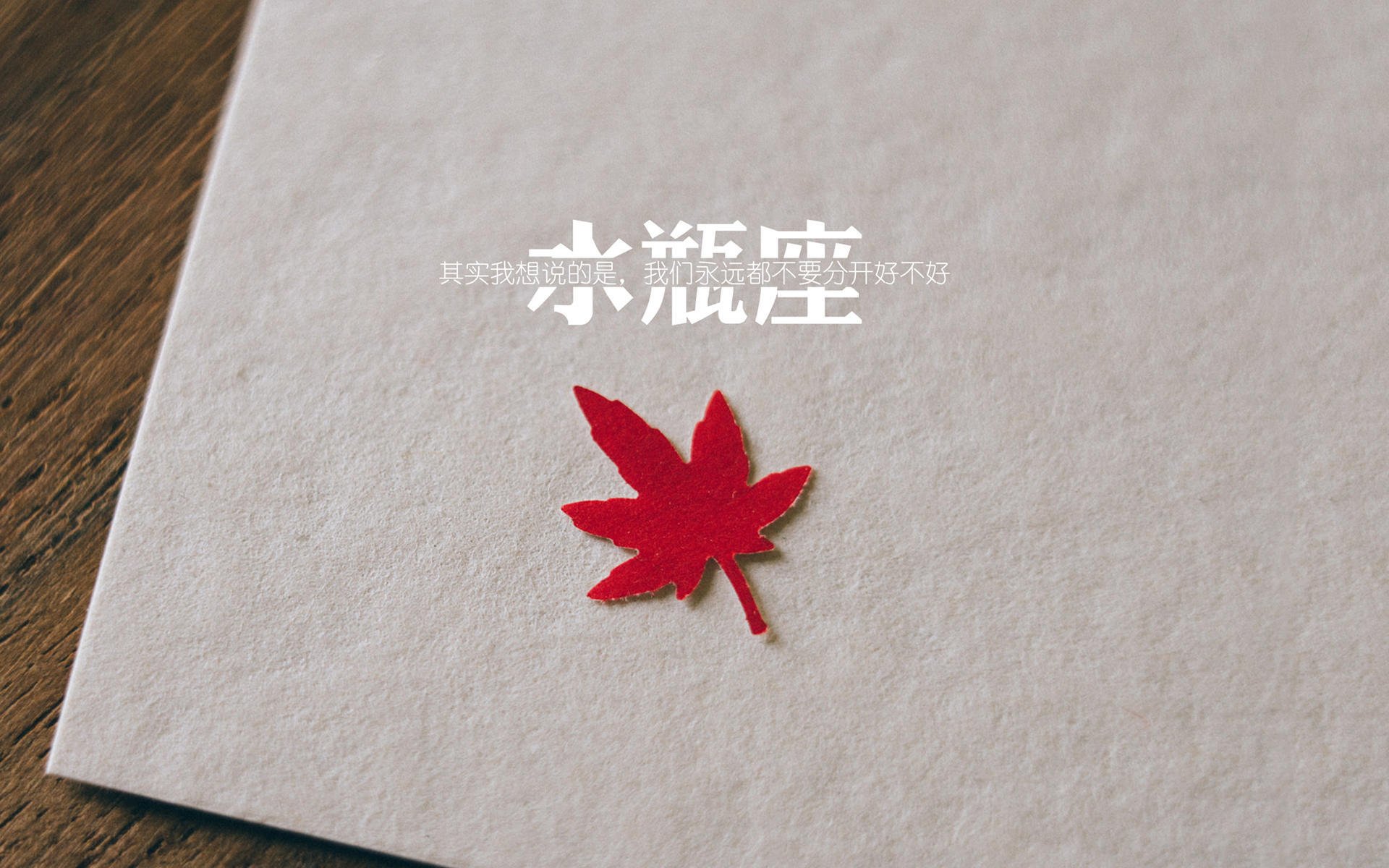布拉格的闪电,2026世界杯,加维与捷克的冷血革命